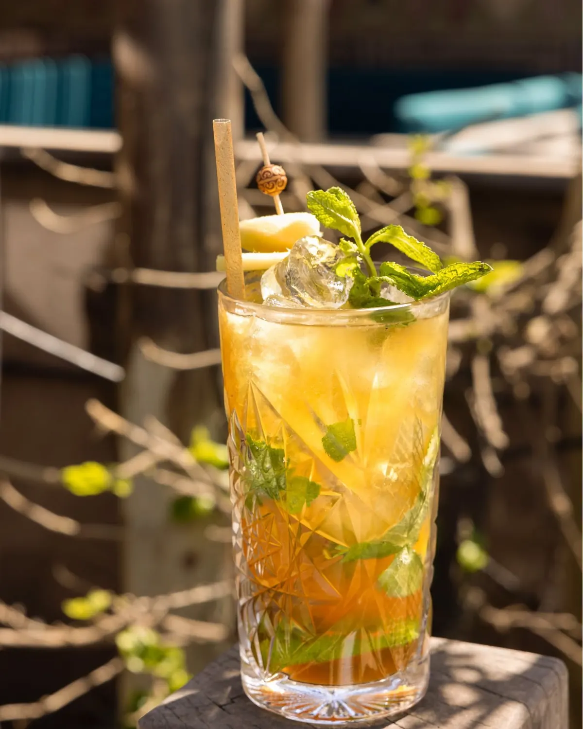 A mojito with fresh mint in a crystal glass