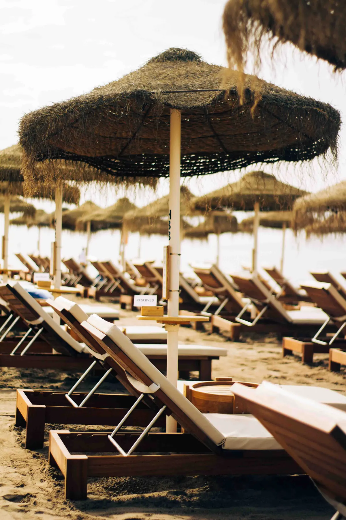 Sun beds lined up under palapa umbrellas